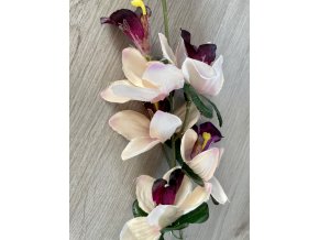 Orchidea růžovofialová