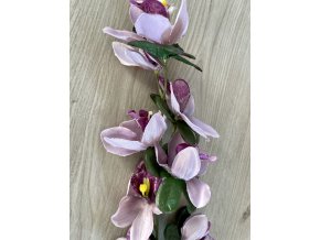 Orchidea fialková