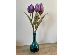 Kytička tulipánů