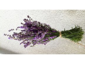Sušená kytička světlá levandule Francouzká