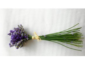 Sušená kytička dvoubarevná levandule malá