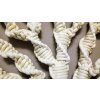 Lapač snů Strom života MACRAME