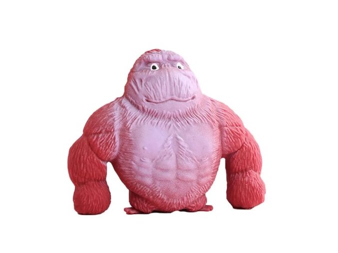 gorila5