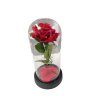 Photoroom 20250109 123518 (002)