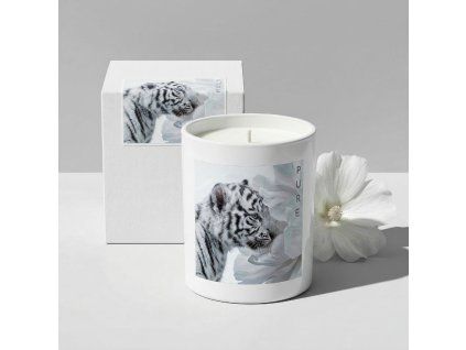 Final tiger whit emusk