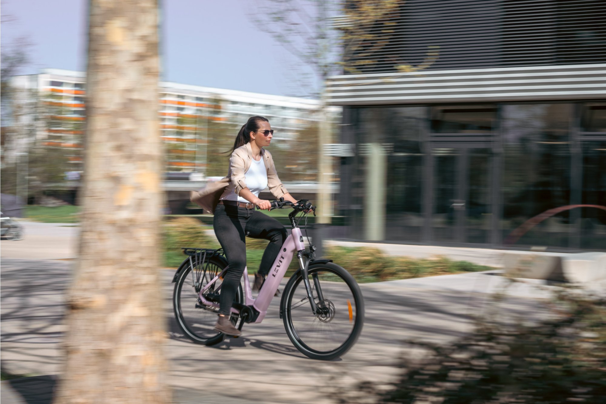 Levit Beleco Scores Again: Best Buy in Fietstest.nl E-Bike Review
