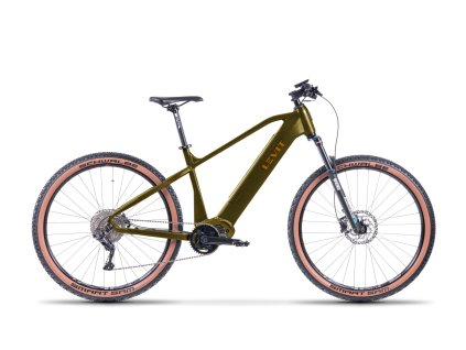 MTB Trusty Over zelena oranzova 29 profil V5