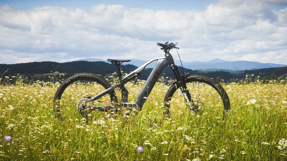 LEVIT-eadventure-2