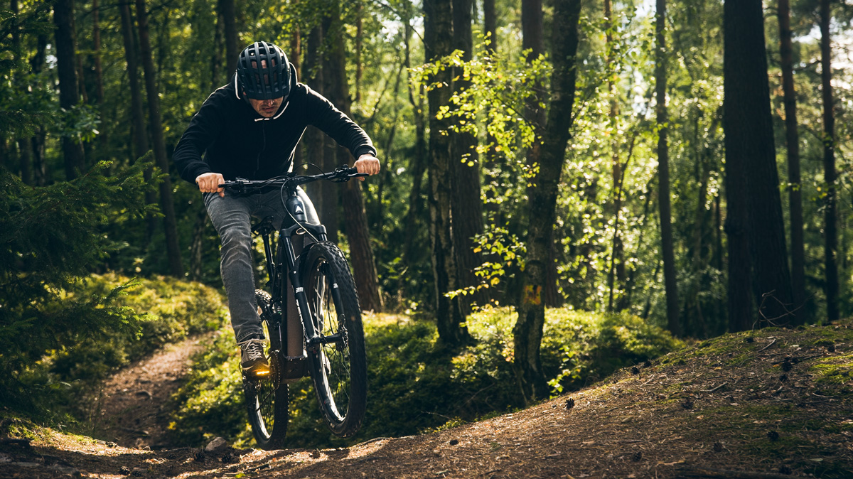 LEVIT-eadventure-3