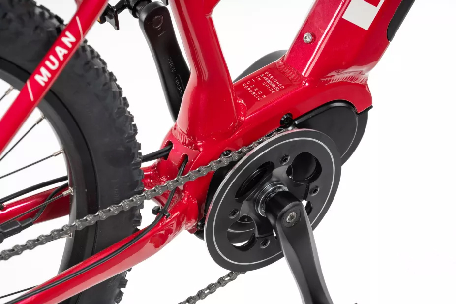 levit-ebike-4