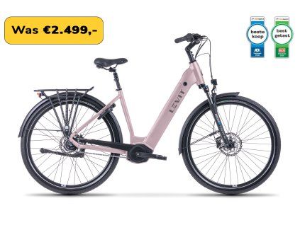 Beleco 7 Low Rose Profil