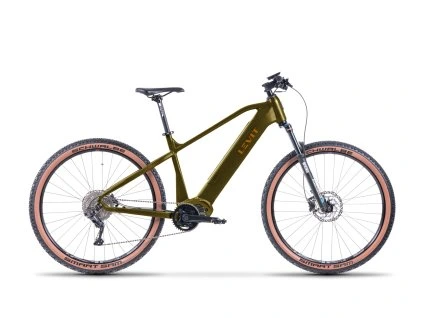 MTB Trusty Over zelena oranzova 29 profil V5