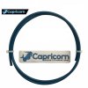 PTFE bovden capricorn
