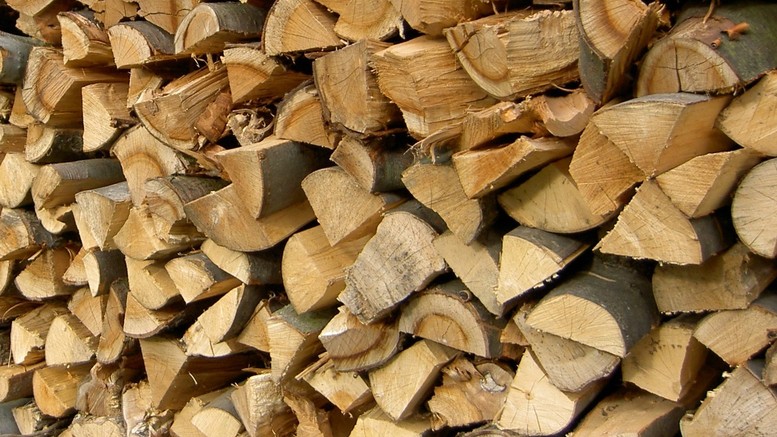 Pohledem znalce: Dřevo jako garanční palivo – i vlhkost 25 % je v pořádku!