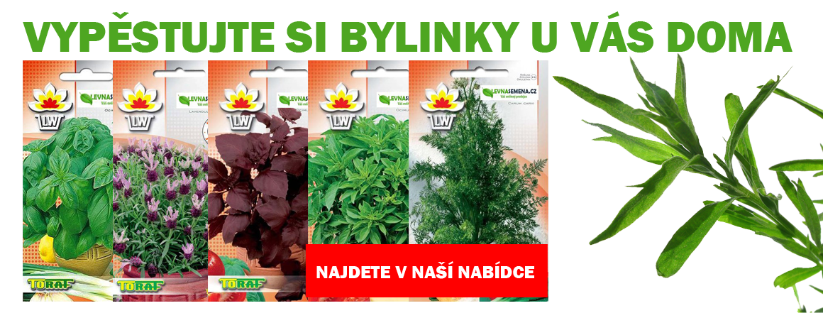 Semena bylinky a léčivky