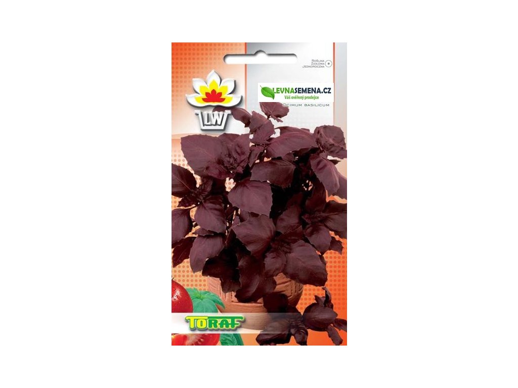 Bazalka červená-Ocimum basilicum  /250 semen/