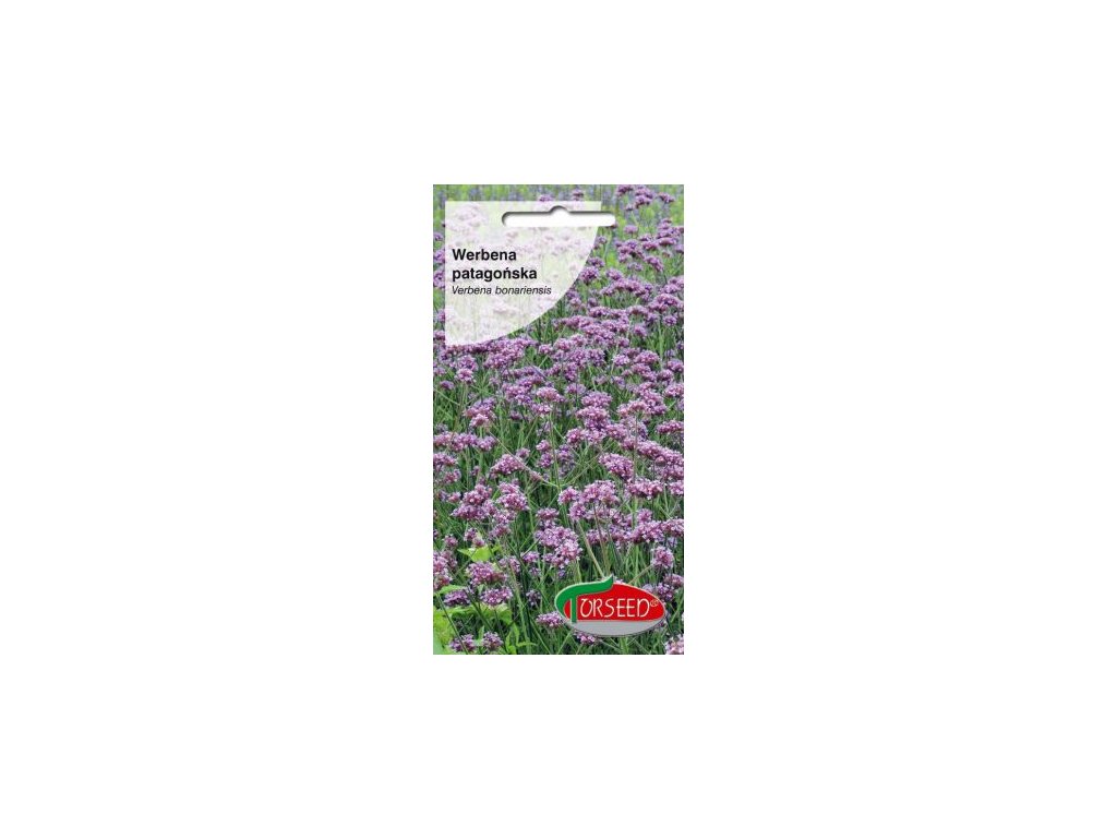 verbenapatagon1
