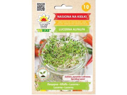 vyr 324nasiona na kielki lucerna alfalfa f