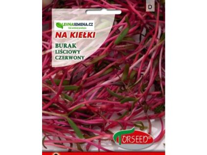 ČERVENÁ ŘEPA SEMENA NA KLÍČKY /20 gramů/