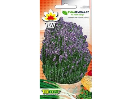 LEVANDULE LÉKAŘSKÁ- Lavandula Angustifolia /90 SEMEN/