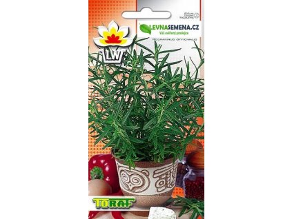 ROZMARÝN LÉKAŘSKÝ - Rosmarinus officinalis /70 SEMEN/