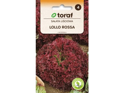 NEW LOGO Salata lisciowa LOLLO ROSSA