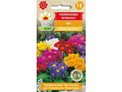 pierwiosnek wyniosly mix f