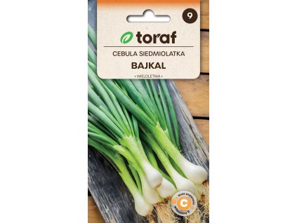 NEW LOGO Cebula siedmiolatka BAJKAL 1