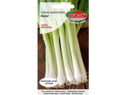 Cebula Siedmiolatka Bajkal 0 5g nasiona Torseed