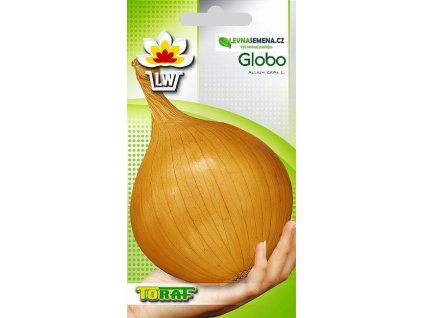 CIBULE GLOBO, CIBULE GIGANT AŽ 2KG PLODY/650 SEMEN/