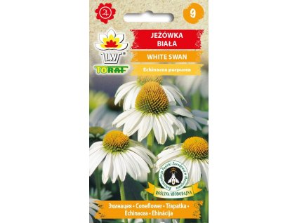 jezowka white swan biala.2 f