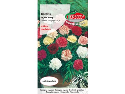 karafiat zahradni grenadir