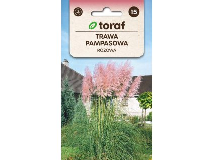 PAMPOVÁ TRÁVA RUZOVA