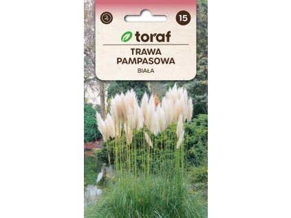 PAMPOVÁ TRÁVA BÍLÁ