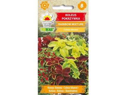 koleus pokrzywka rainbow mixture mieszanka.2 f