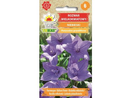 rozwar platykodon niebieski f