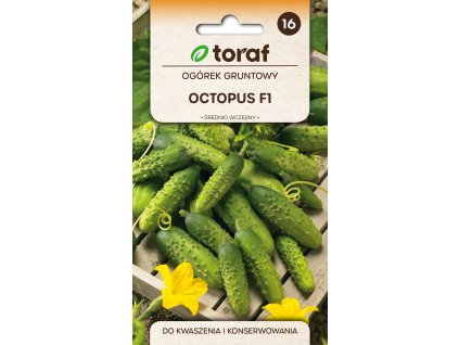 okurka octopus