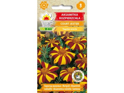 aksamitka rozpierzchla brocade mix 1 f