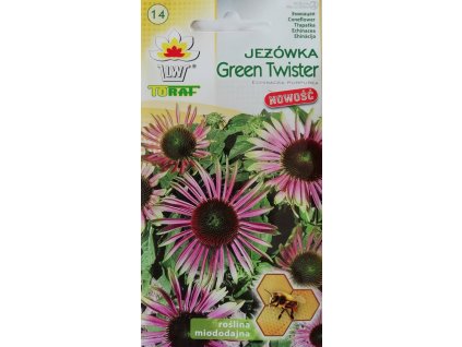 EchinaceaGreenTwister4 levnasemena