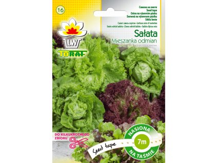 salata mieszanka odmian tasma f