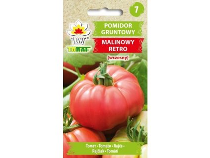 pomidor gruntowy malinowy retro f