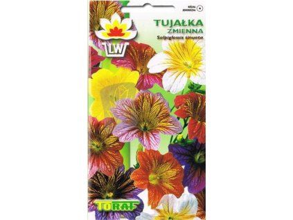 tujalka zmienna mieszanka f