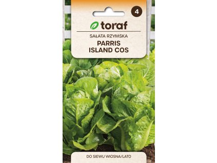 NEW LOGO Salata rzymska PARRIS ISLAND COS