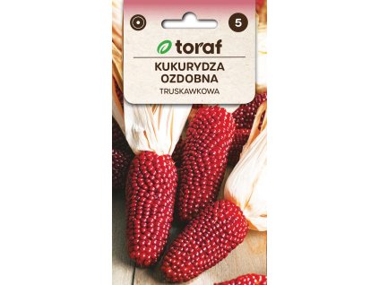 KUKUŘICE OKRASNÁ JAHODOVÁ