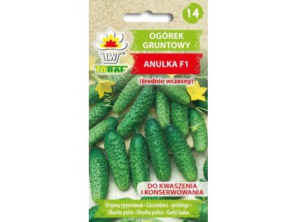 ogorek gruntowy anulka f1 srednio wczesny f