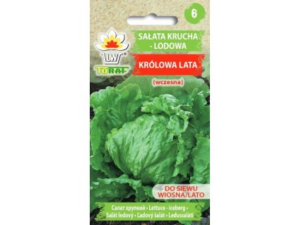 salata krucha lodowa krolowa lata wczesna f