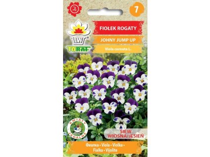 fiolek rogaty johny jump up f