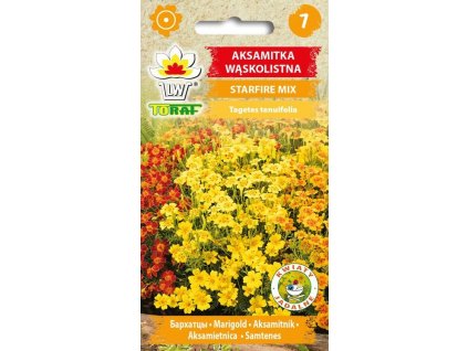 aksamitka waskolistna starfire mix f