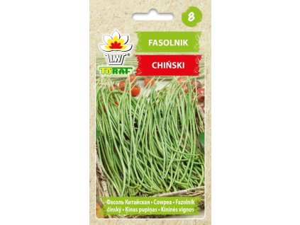 fasolnik chinski