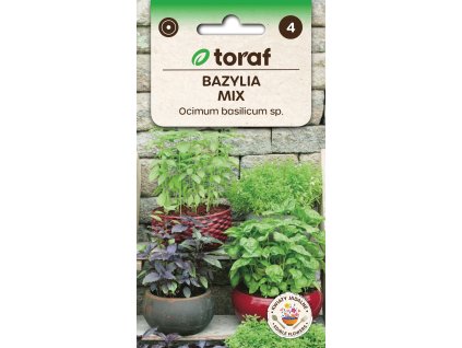 NEW LOGO Bazylia MIX 1 1